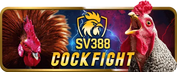 Ưu điểm khi cá cược thể thao tại V8BET Chính Thức